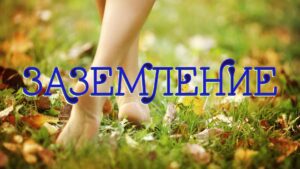 Изображение представляет собой яркую фотографию крупным планом, на которой изображена пара босых ног, идущих по сочной зеленой траве. Ступни окружены разбросанными ярко-розовыми цветочными лепестками, что придает пейзажу особую цветовую гамму. Теплое и мягкое освещение создает впечатление солнечного дня, а слегка размытый фон создает впечатление сада или парка. В центре внимания - ножки и лепестки, что создает безмятежную атмосферу. Общая композиция сбалансирована, ноги слегка смещены от центра, что привлекает внимание к естественным элементам в образе.